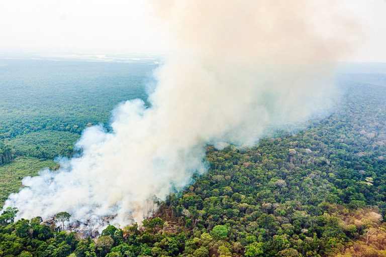 Cancelado debate sobre combate a efeitos de queimadas na Amazônia wp header logo 3710
