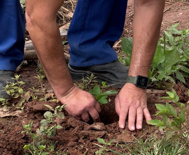 Atibaia amplia plantio de árvores nativas durante a Semana da Árvore wp header logo 5352