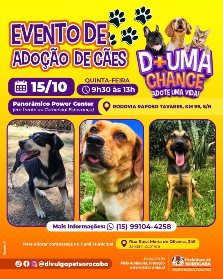 Panorâmico Power Center recebe evento de adoção de cães do Canil Municipal de Sorocaba nesta quinta-feira (15) wp header logo 2785