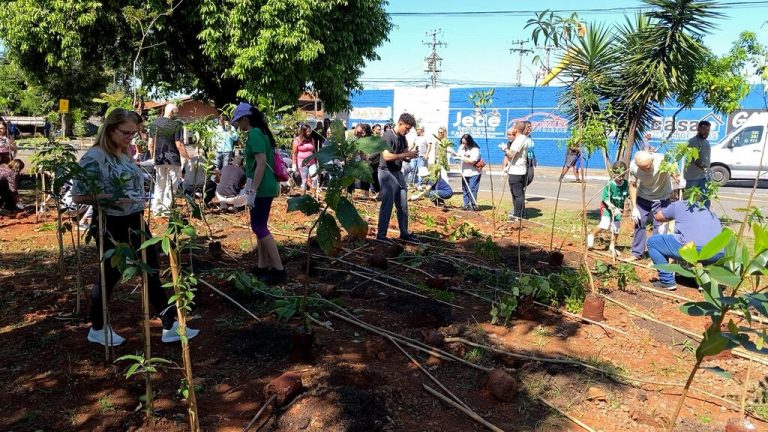 Prefeitura implanta microfloresta urbana no Jd. Mirante wp header logo 2832