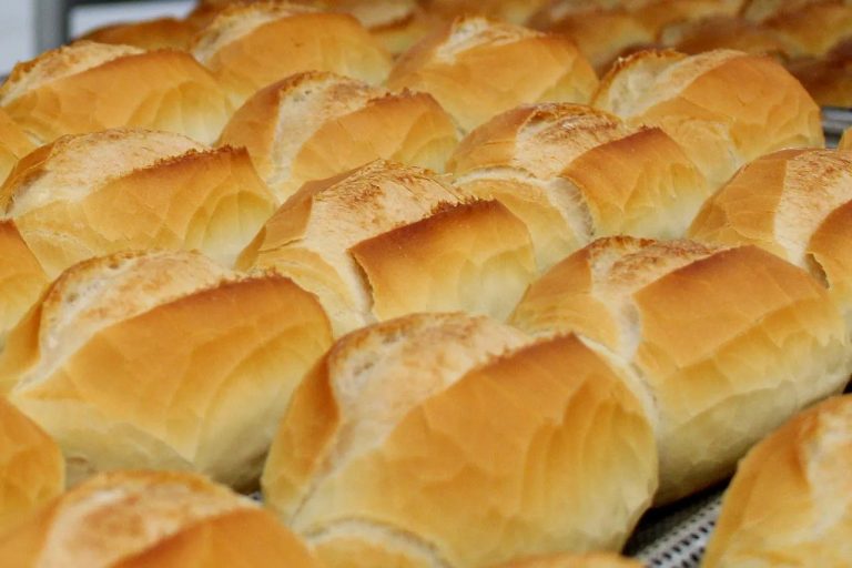 Dia do Pão: preço médio do pão italiano varia até 55% entre as regiões da capital, aponta Procon-SP wp header logo 3093
