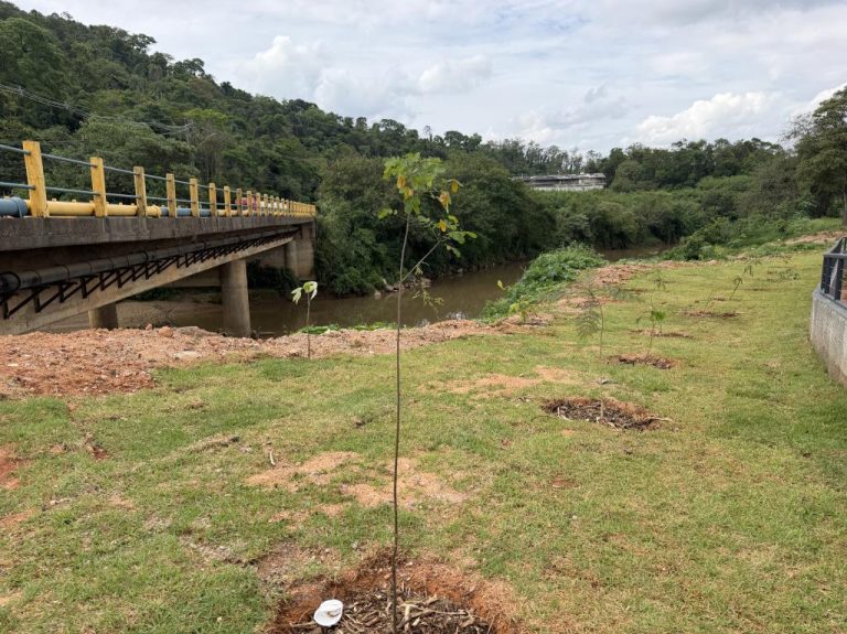 Plantio de 45 árvores leva preservação ambiental às margens do Córrego da Lagoa wp header logo 3288
