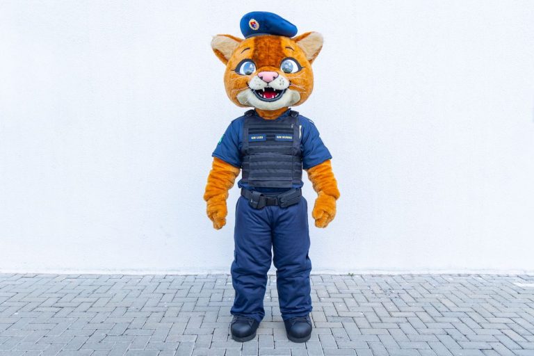 Com participação popular, mascote do programa educacional Ludicidadania, da GMJ, ganha nome: Ludi wp header logo 3338
