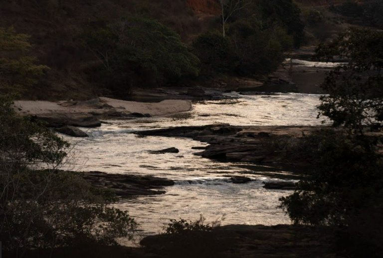 Rio Doce recebe projetos do IEF para recuperar a biodiversidade aquática wp header logo 3371