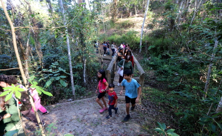 Eco Kids é encerrado com programação no “Viver o Viveiro” deste domingo (18); veja agenda wp header logo 3385