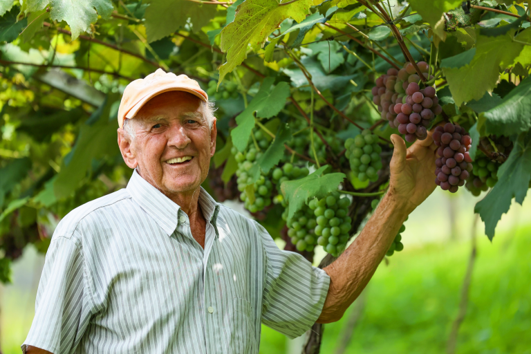 Novo site aproxima produtor rural dos serviços e programas de Jundiaí wp header logo 3521