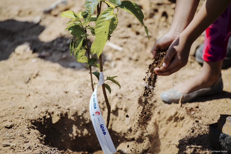 Programação especial marcará a “Semana do Desafio Ambiental” em Cotia wp header logo 3552