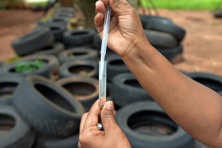 wp header logo 3832