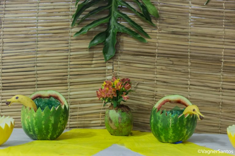 Baile do Hawaii foi o tema da festa da Melhor Idade no FS de Caucaia wp header logo 3947