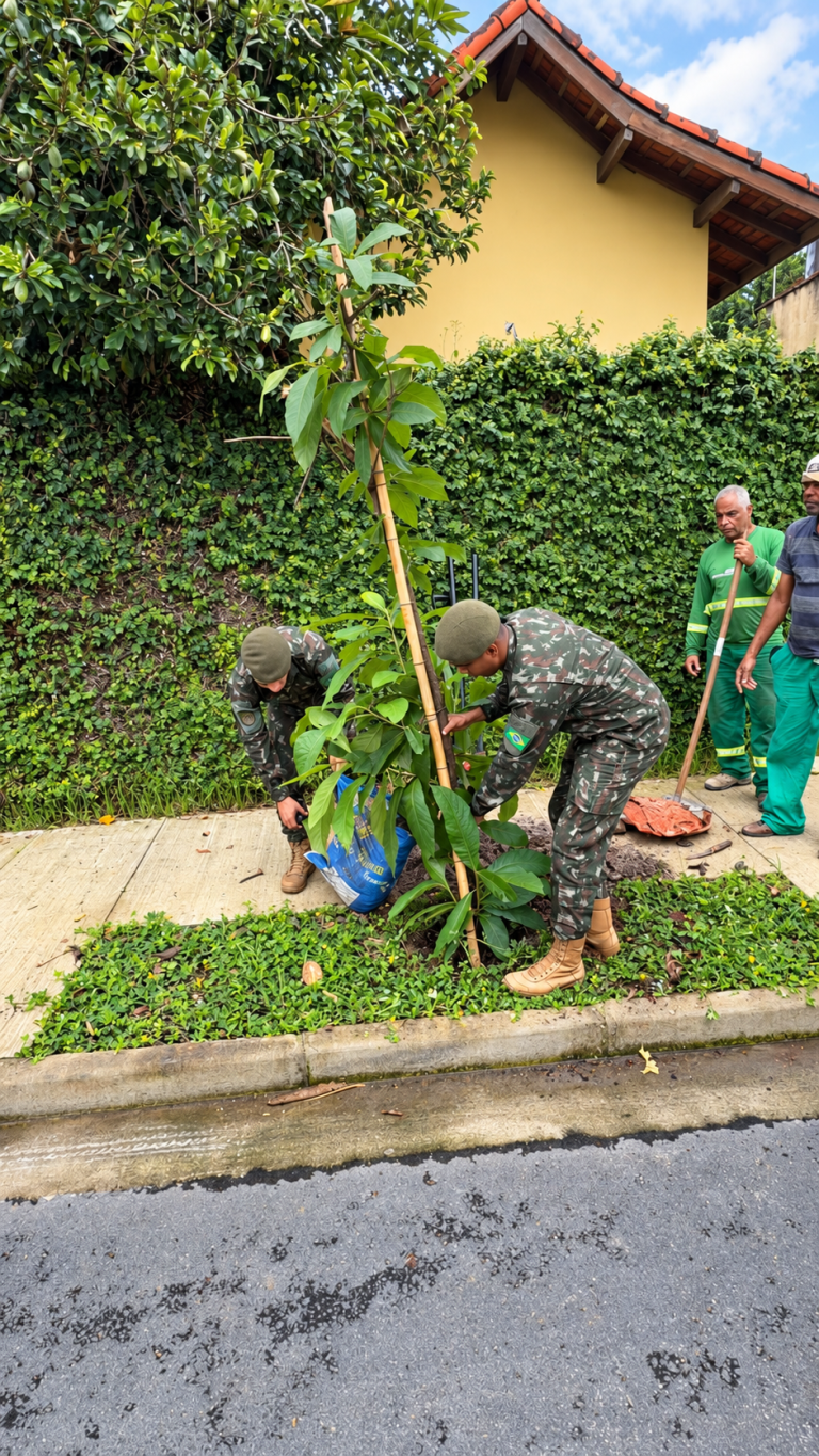 Parceria entre a Prefeitura e Exército realiza plantio de mudas de espécie nativas em Guarujá wp header logo 3980