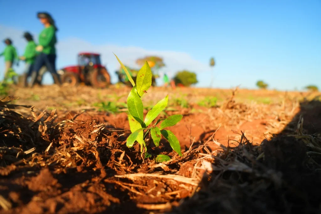 Projetos de sustentabilidade são premiados na 2ª edição do SP Carbono Zero